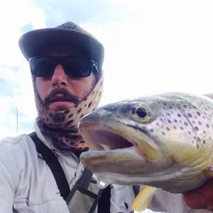 Meet your Posher, Logan